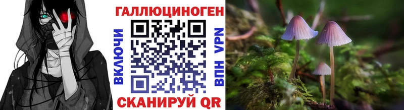 Псилоцибиновые грибы прущие грибы  где найти   Усть-Лабинск 